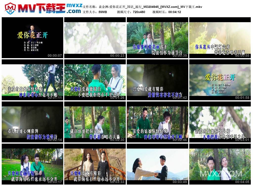 袁金洲-爱你花正开_国语_流行_MD204945